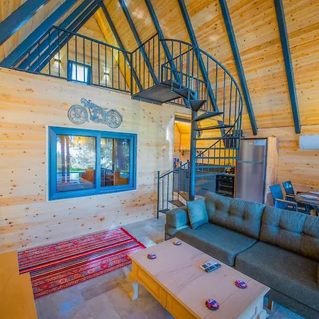 Sea Hill Faralya Vilă *