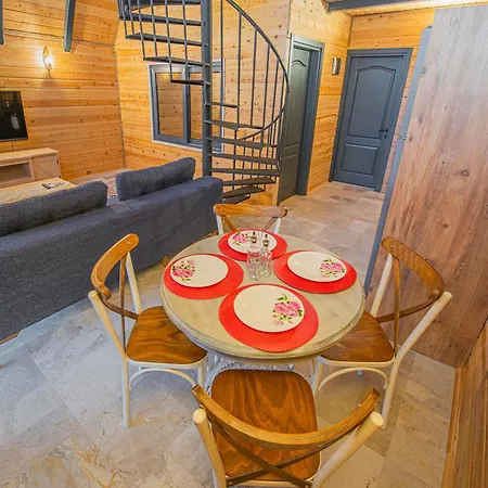 Sea Hill Faralya Vilă *