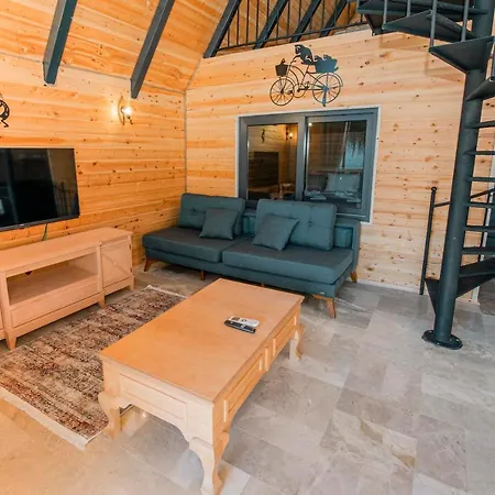 Sea Hill Faralya Villa