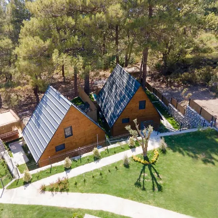 Sea Hill Faralya ヴィラ *