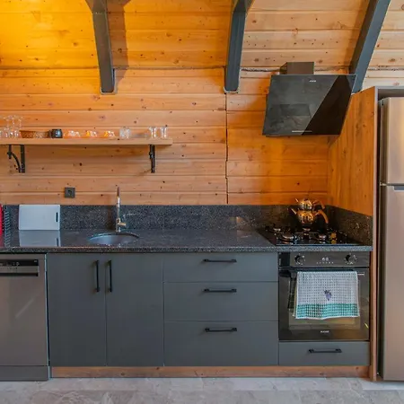 ヴィラ Sea Hill Faralya フェティエ