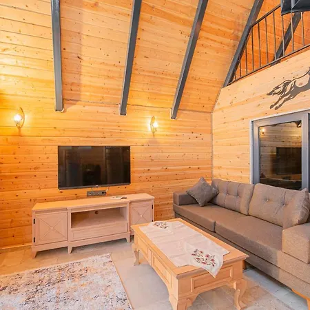 Sea Hill Faralya ヴィラ *