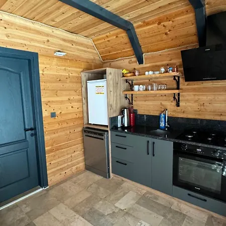 Sea Hill Faralya ヴィラ フェティエ